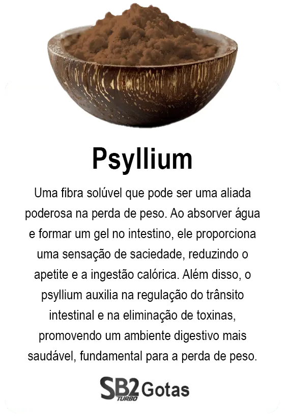 physum (convert.io)