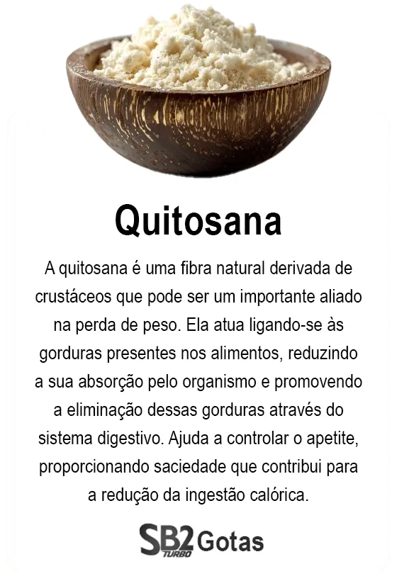 quitosana (convert.io)